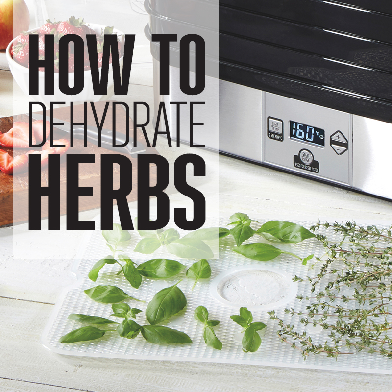 dehydrator with herbs